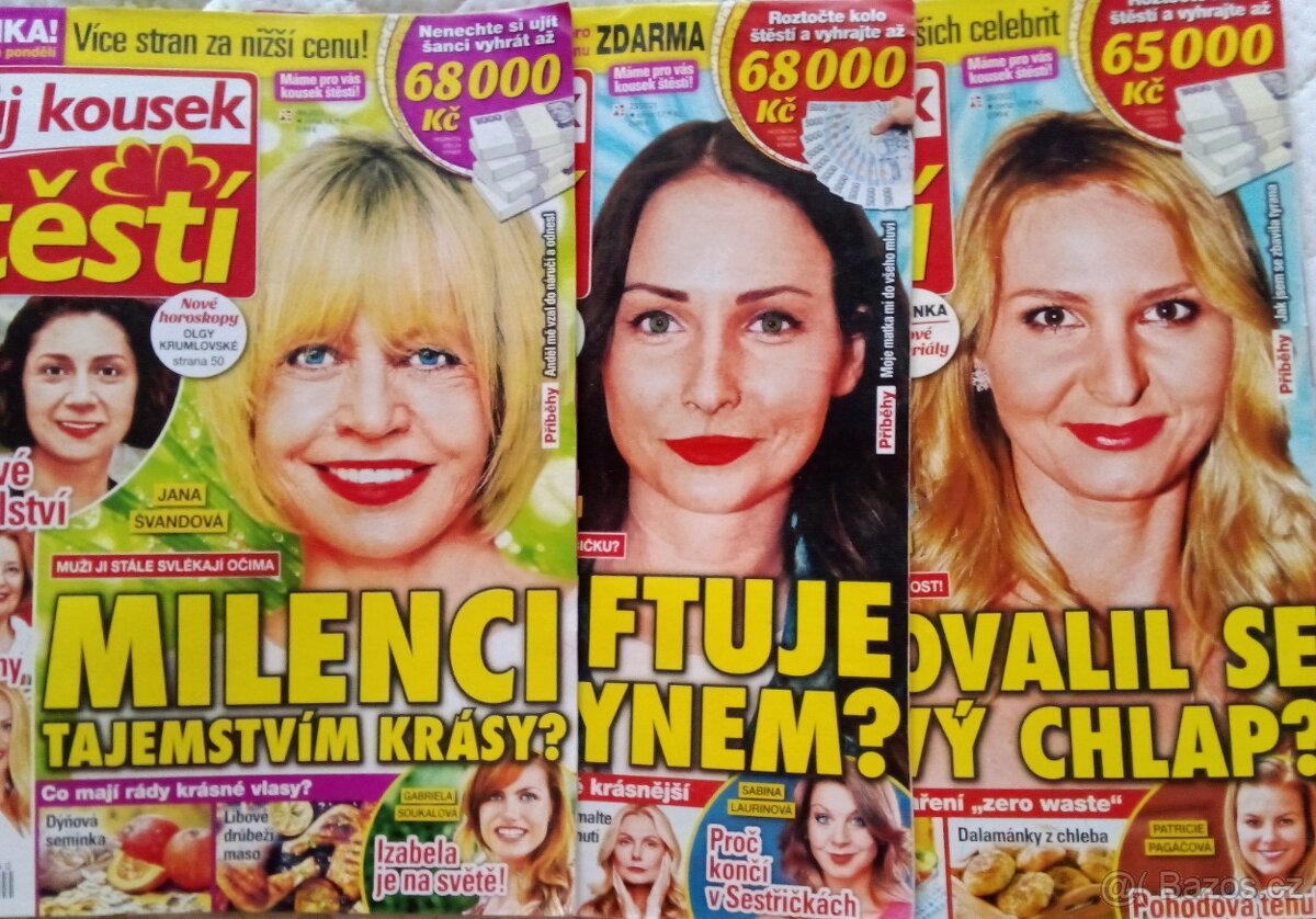 Časopisy nové i z předešlých let - 3