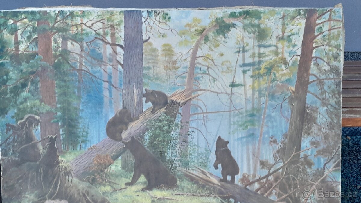 Obraz na plátně V.75×D.116cm, medvědí v lese - 3