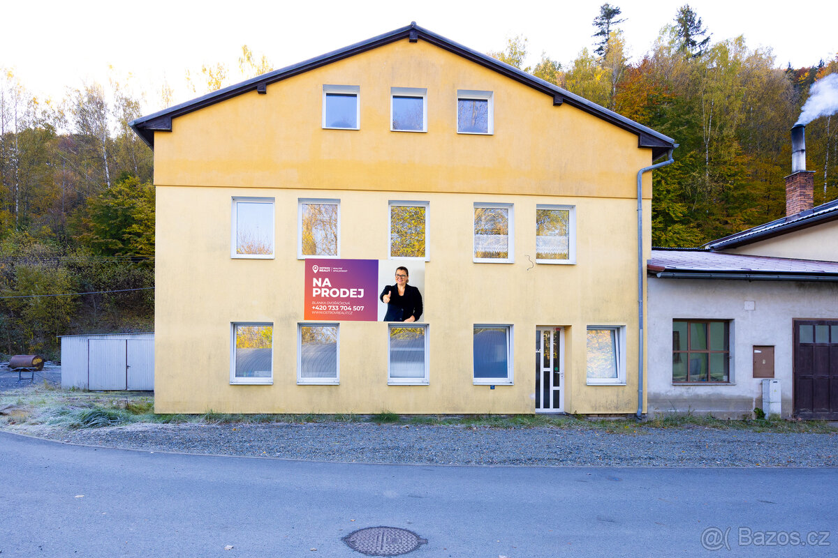 Prodej, komerční budova, Hanušovice - 3