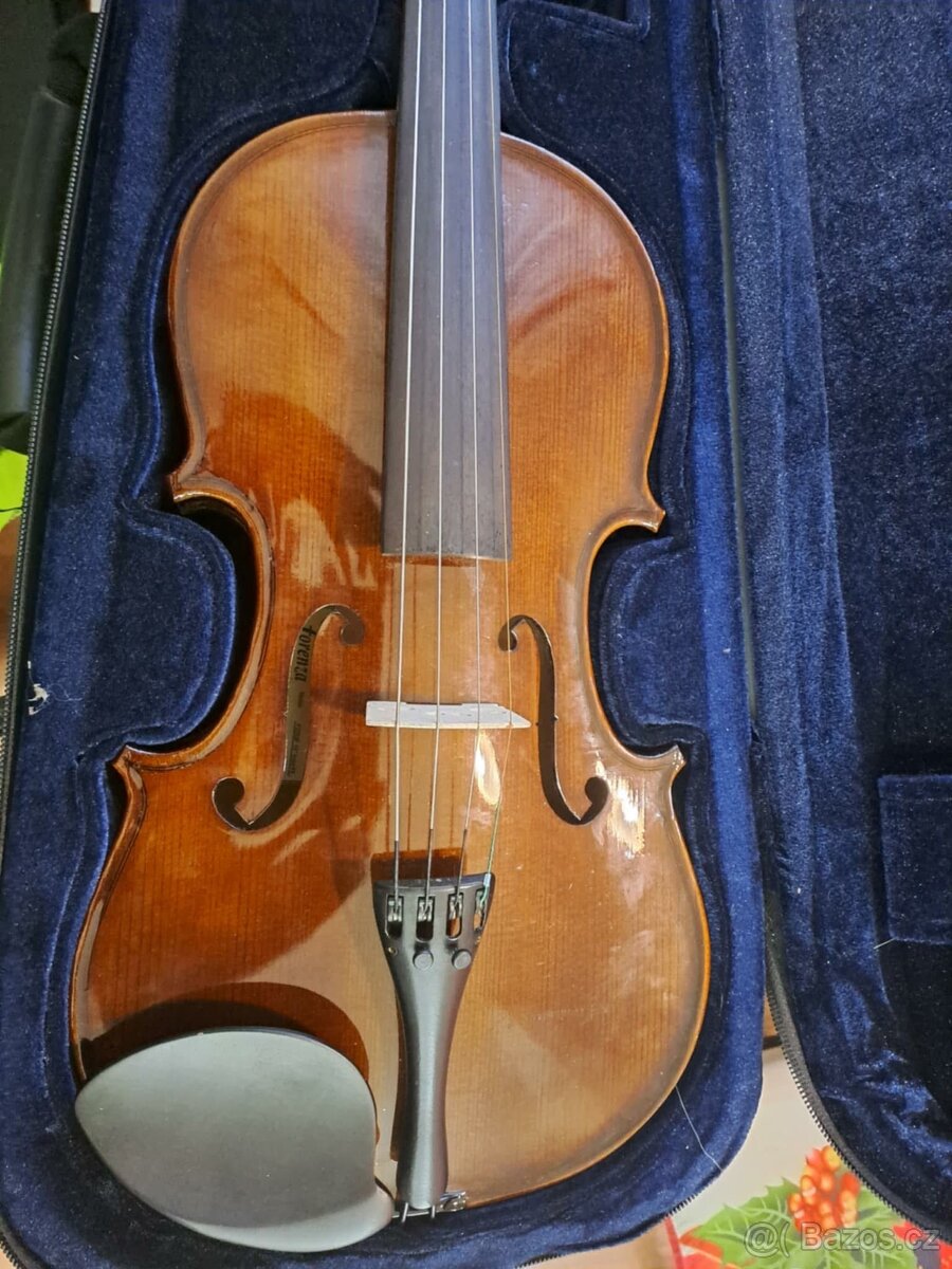 Violi - 3