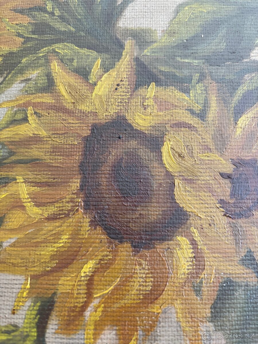 Obraz Slunečnice -Papírník 1961, olej 45x35 - 3