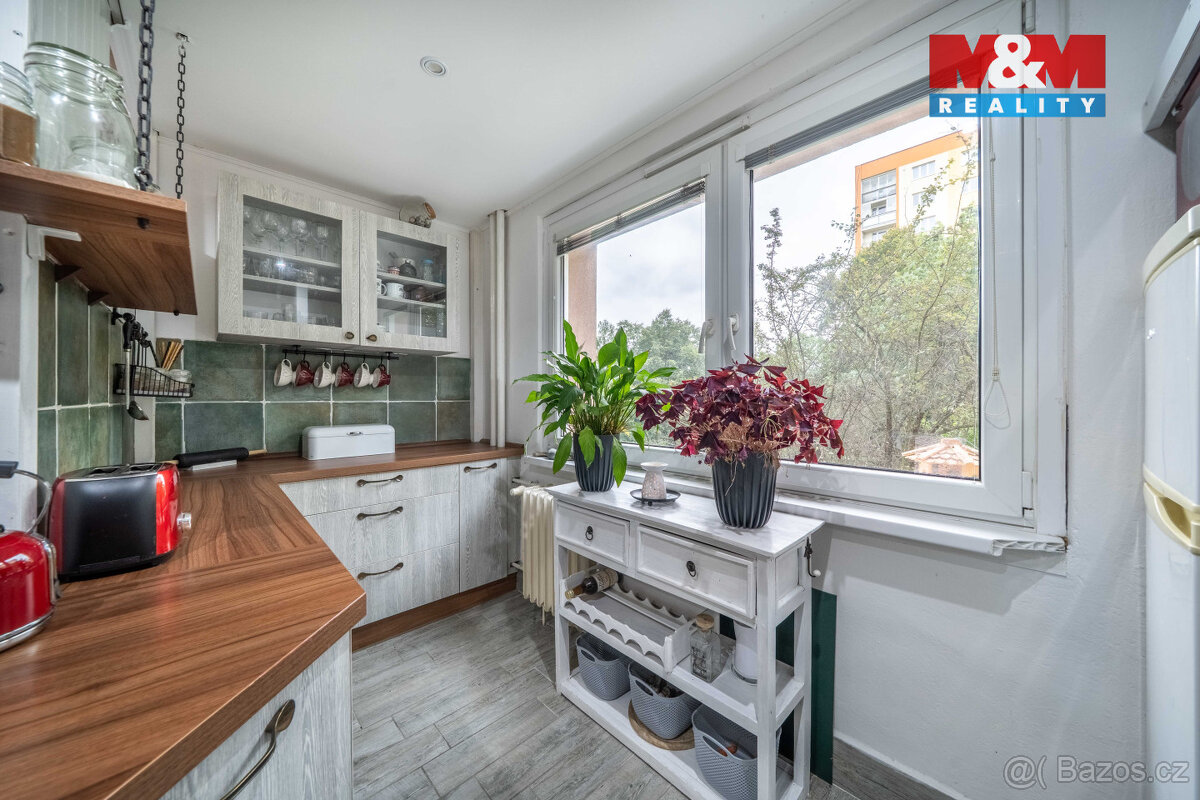 Prodej bytu 2+1+L, 53 m², Plzeň, ul. náměstí Generála Píky - 3