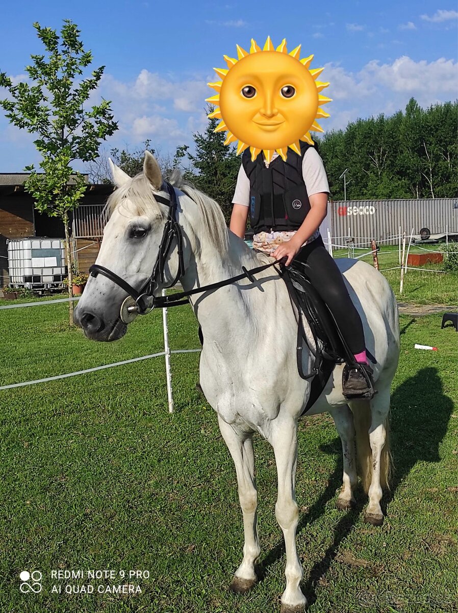 Pony účastník MČR - 3