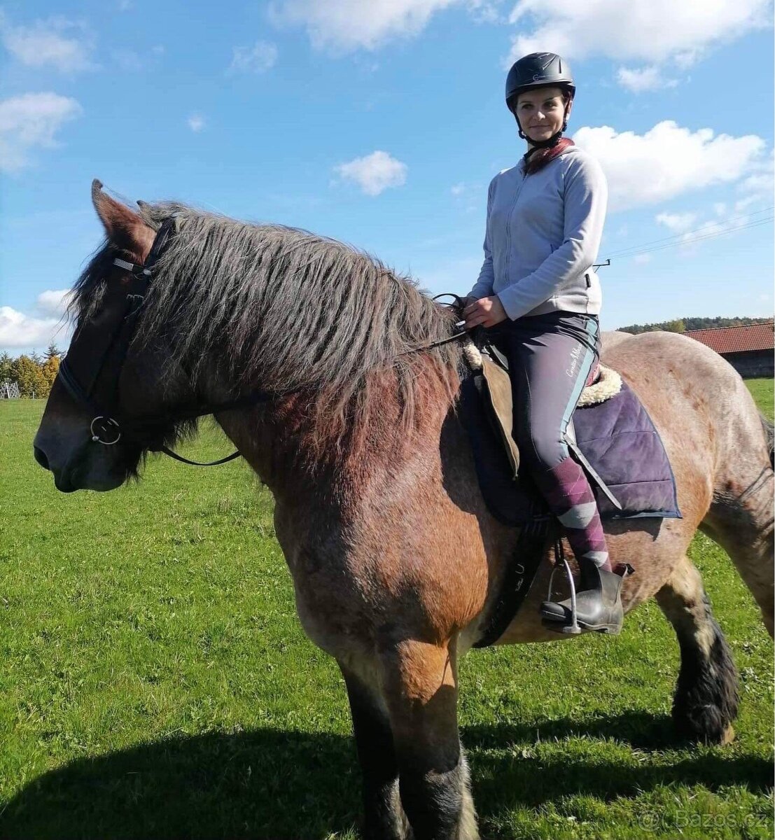 Obsedání koní - 3