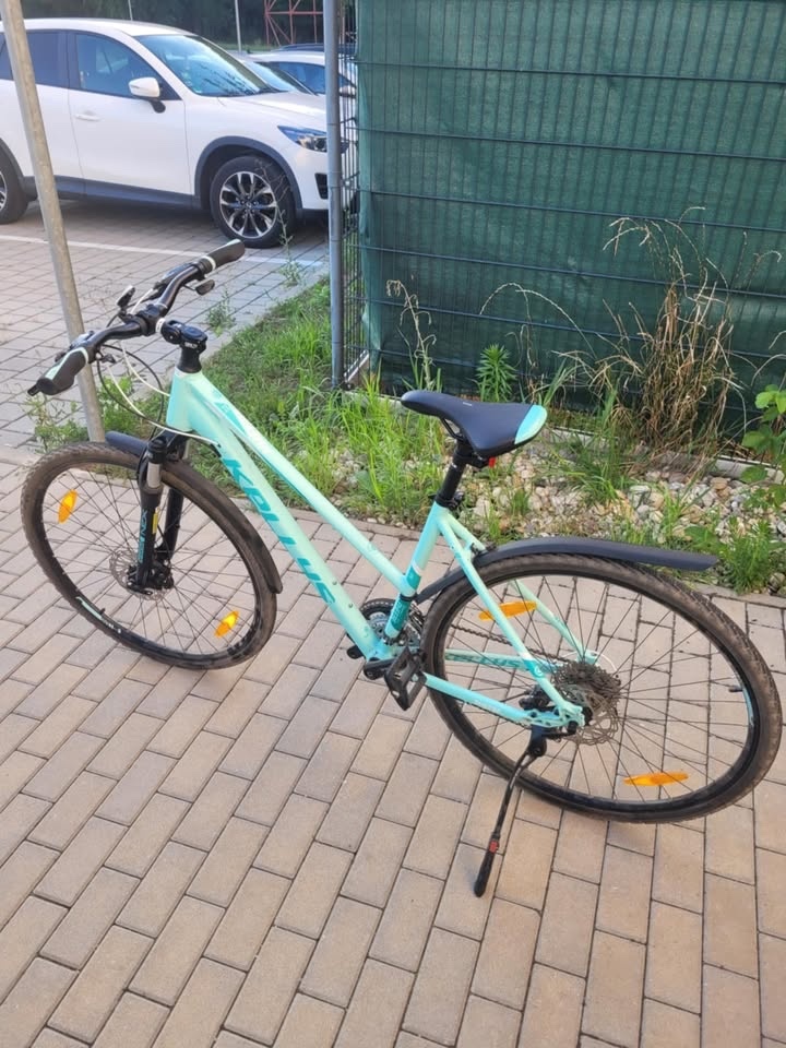 Kolo Kellys Pheebe 10 Mint - 3