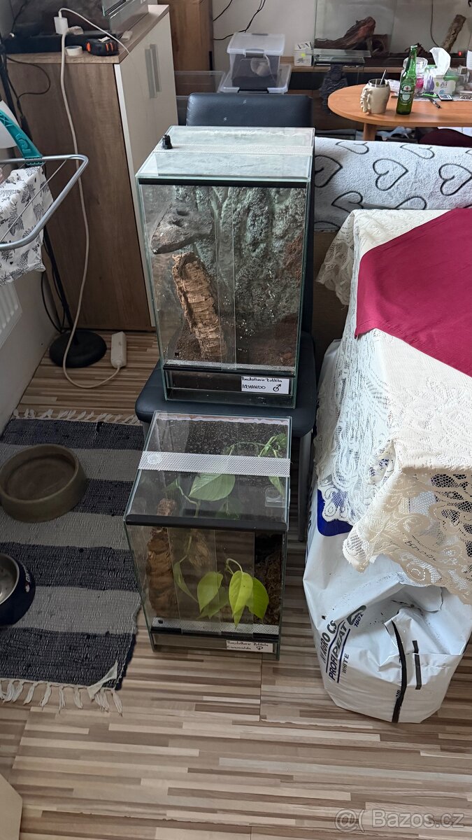 4x terárium - 3