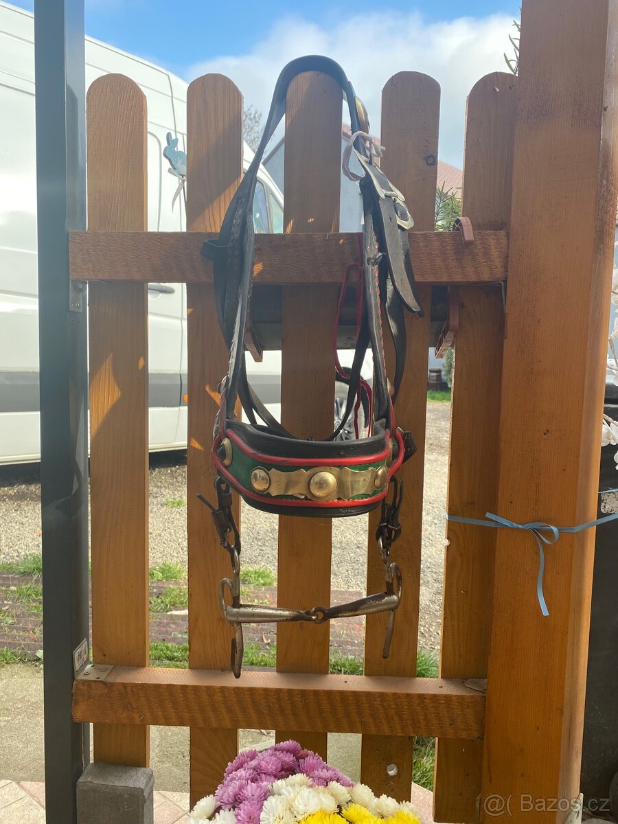 Prodám formanskou ohlávku s udidlem - 3