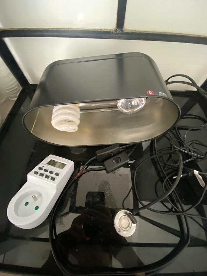 Terarium pro chameleona (60×45×90) + vybavení - 3