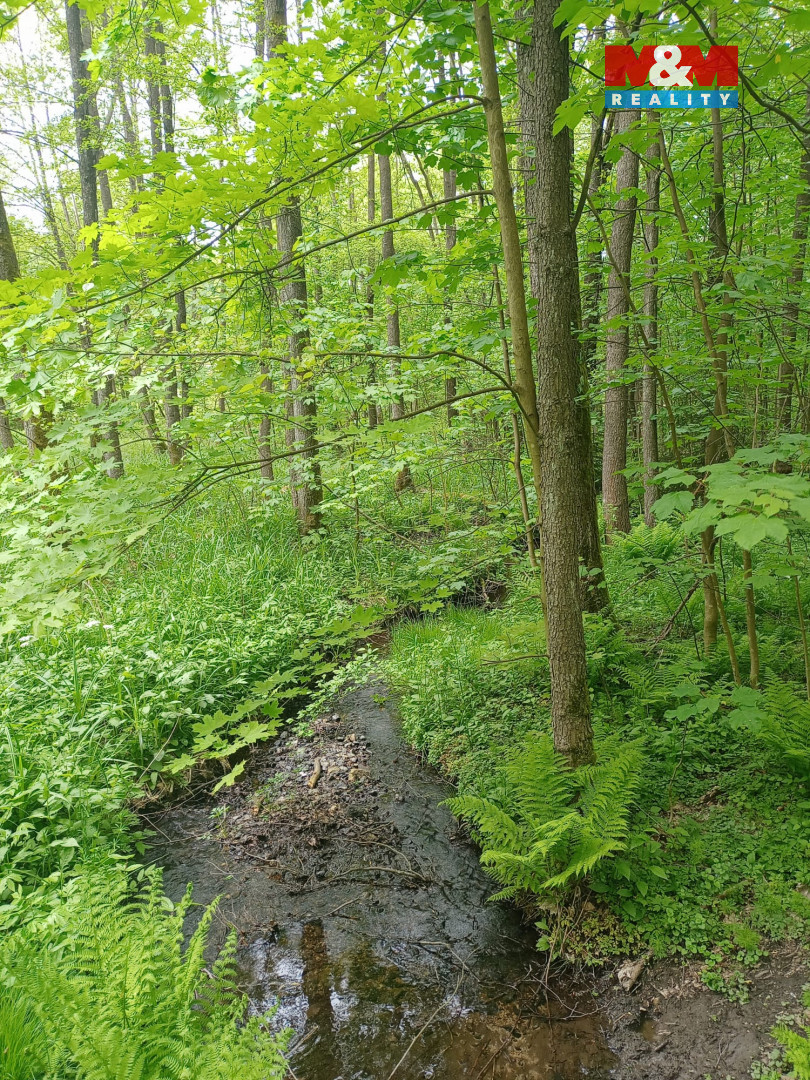 Prodej lesa, 4526 m², Dlouhý Most - 3