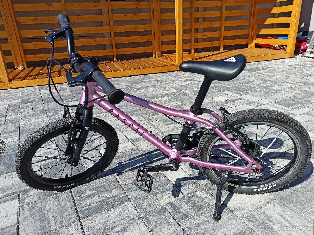 Rascal 16 Raspberry - 3