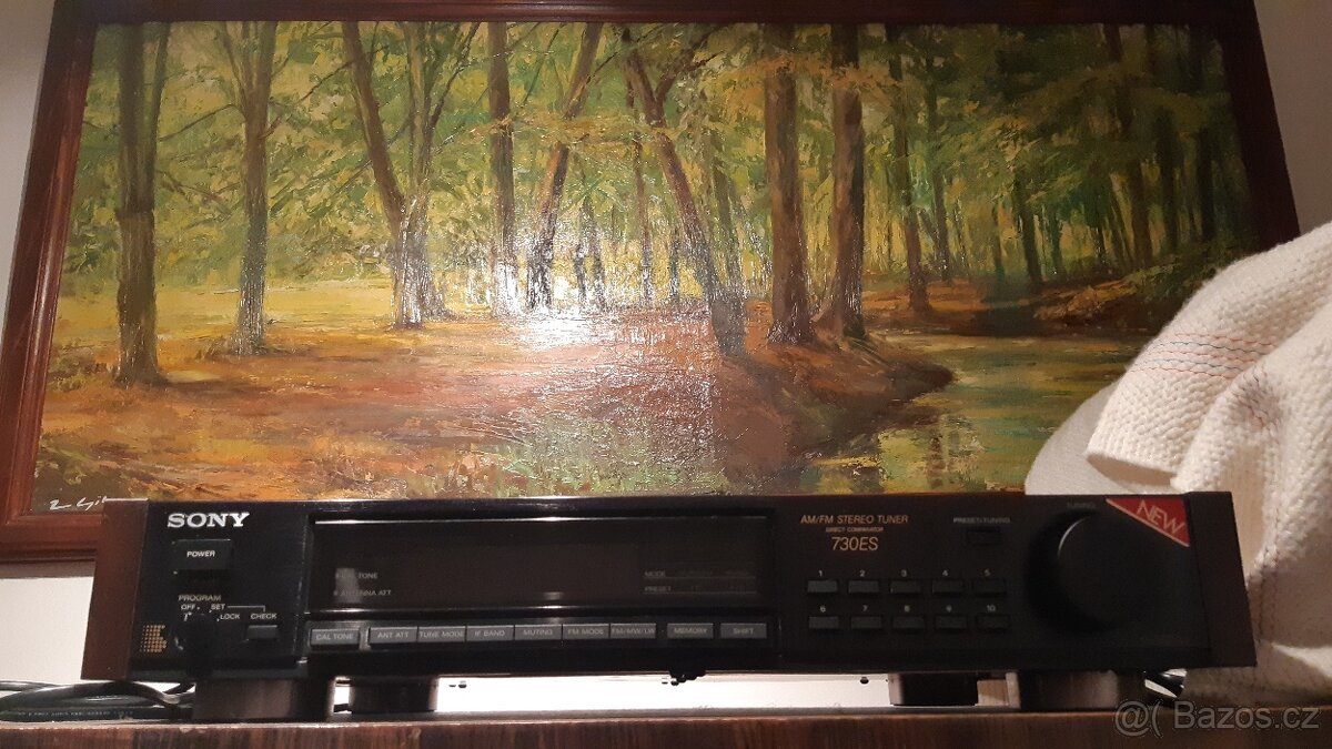 SONY ST S730ES - 3
