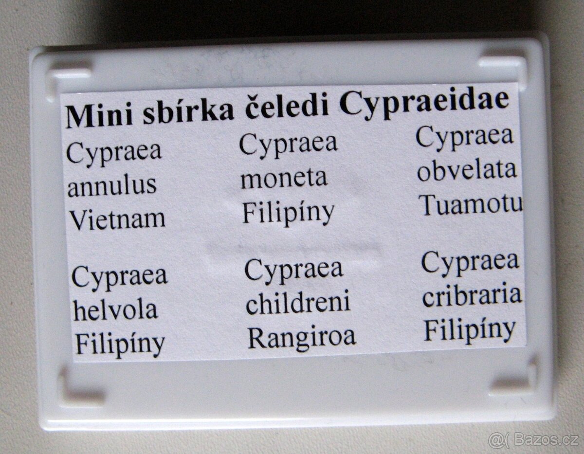 Minisbírka ZAVINUTCI - 3