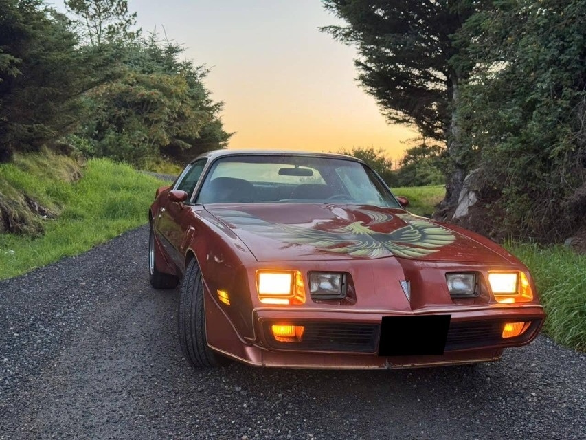 Pontiac Firebird Trans Am z roku 1980 - 3