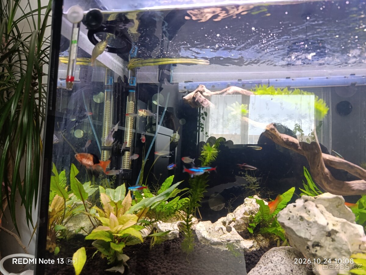 Prodam jomplet akvarium 240 L - 3