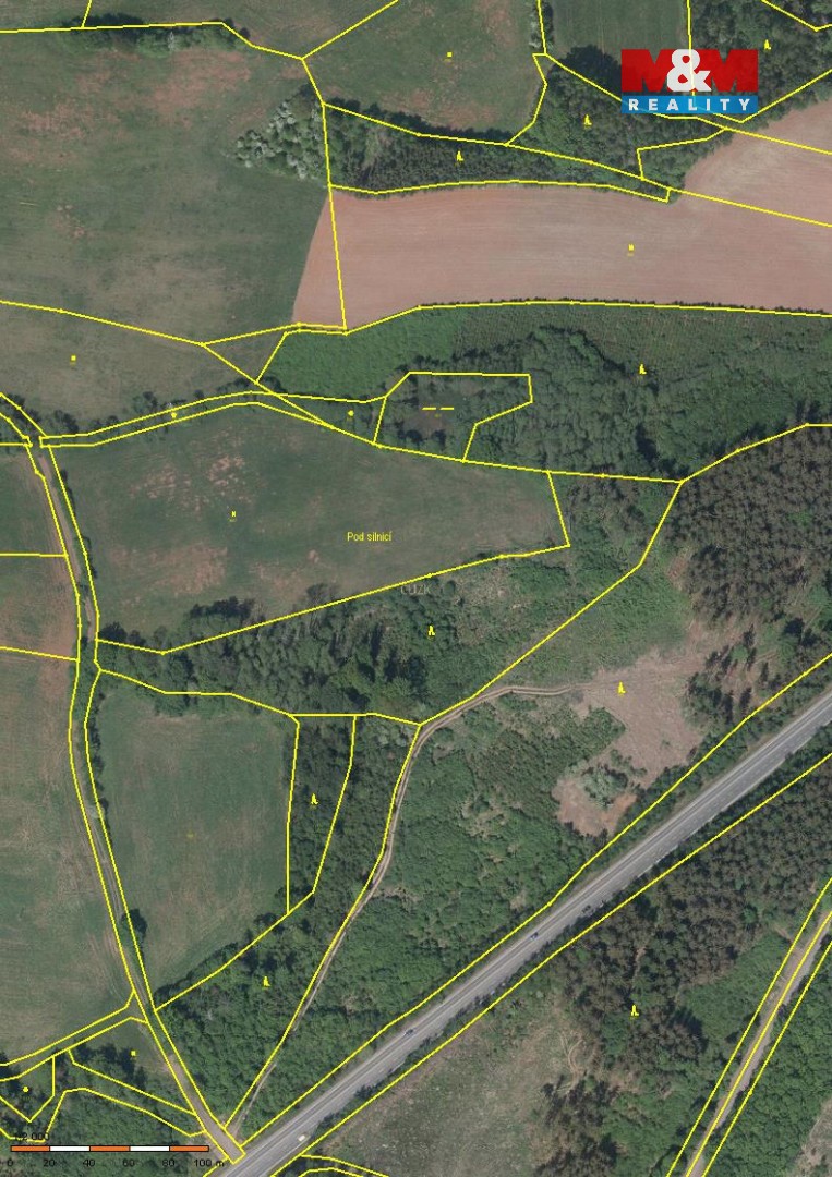 Prodej, les, 13753 m2, Úbislavice, Stav - 3