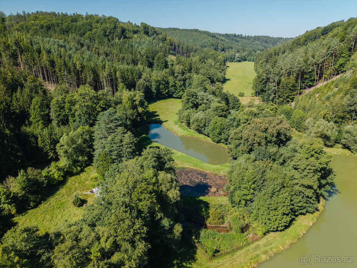 Pronájem pozemků s rybníky, Zderaz - 3