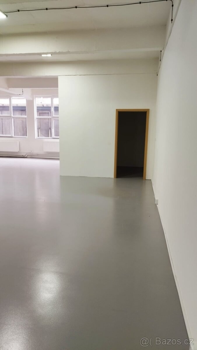 PRONÁJEM OBCHODNÍCH PROSTOR - 3