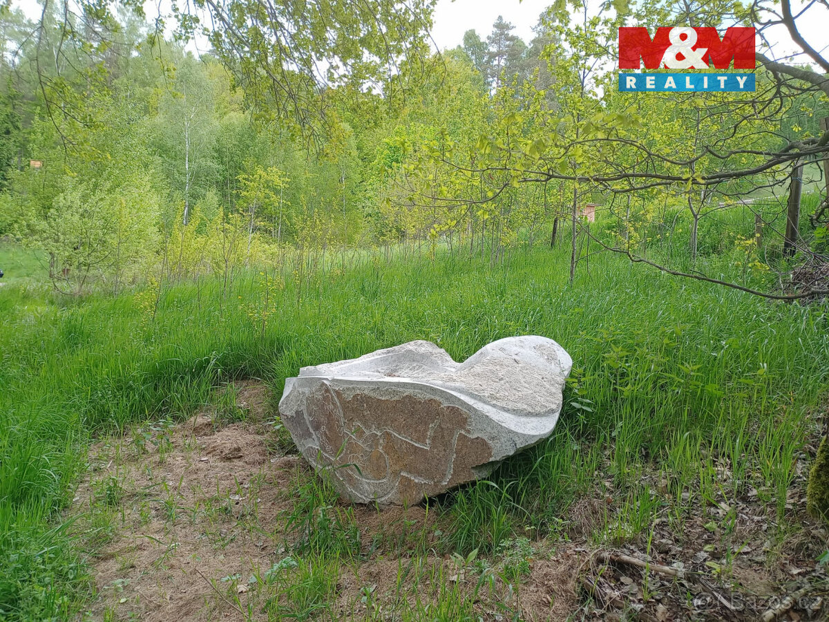 Prodej louky, 6962 m², Kořenov - 3