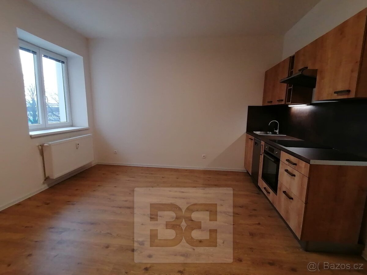 Pronájem bytu 1+kk 26 m², Ostrava - Přívoz, ev.č. N08587 - 3