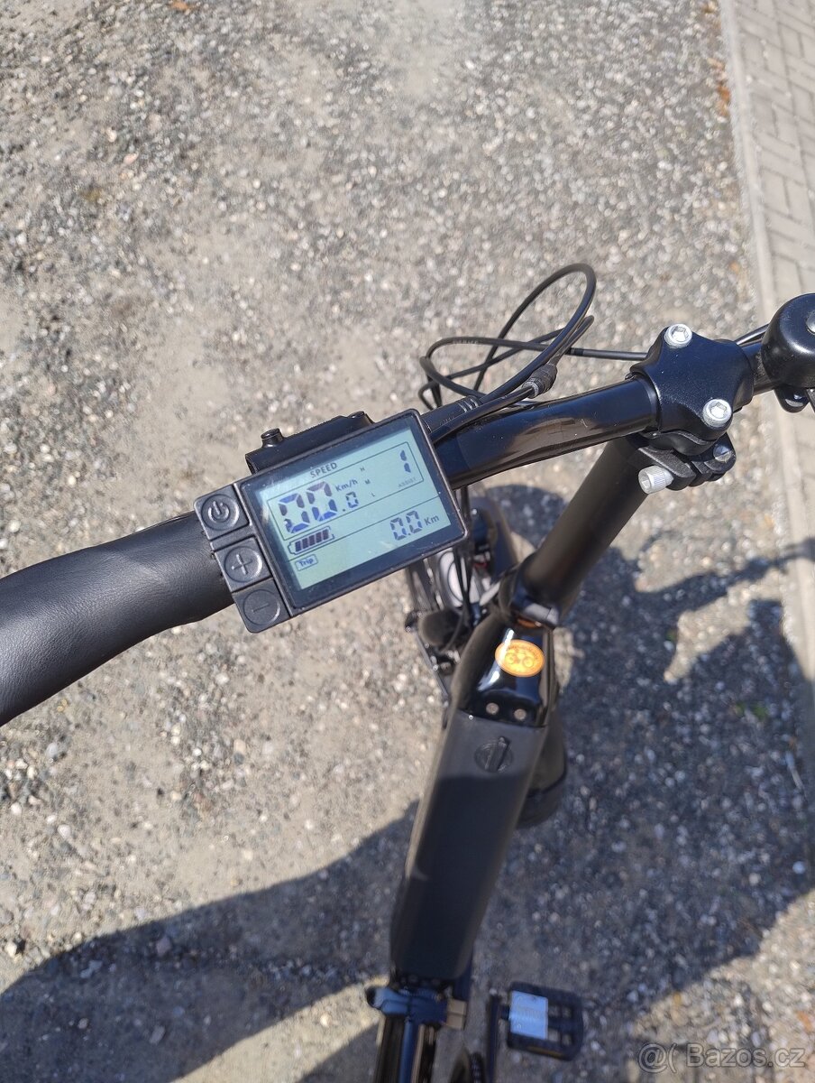 Leader Fox Cody 2024 - 3