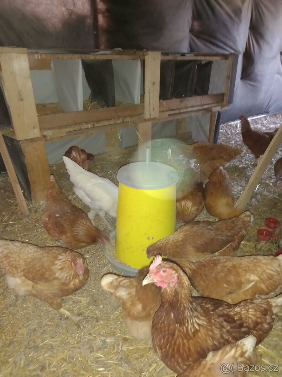 Eco farma - 3
