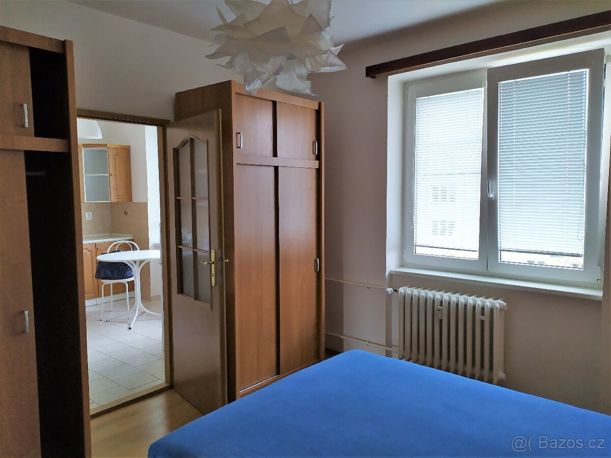 Pronájem 2+1 v Dejvicích, Praha 6 - 3