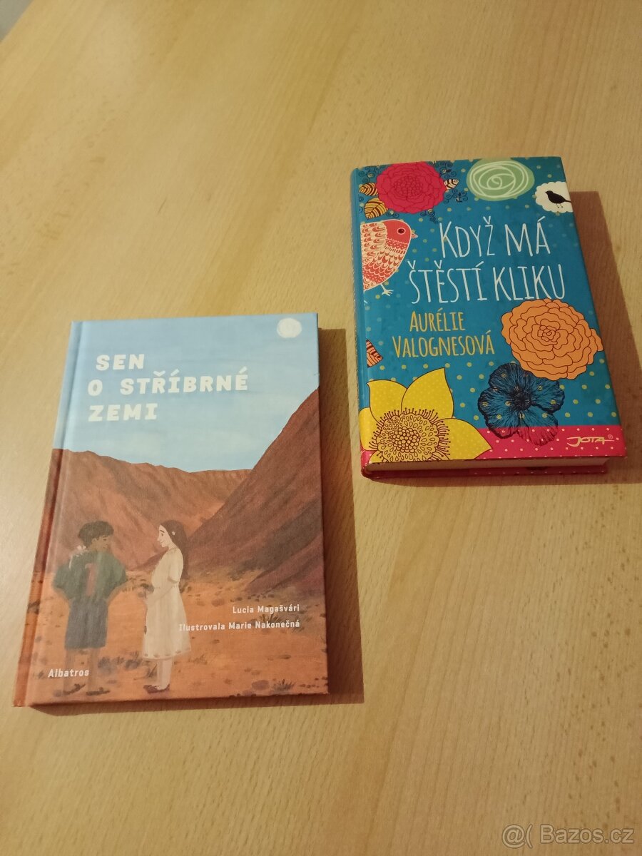 Cesta za láskou,Slečny,Když má štěstí kliku - 3