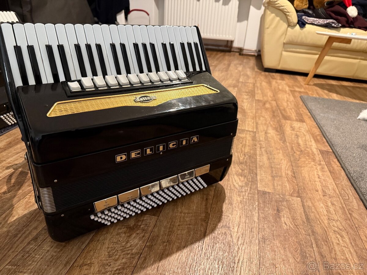 Prodám Delicia Carmen Cassoto - 3