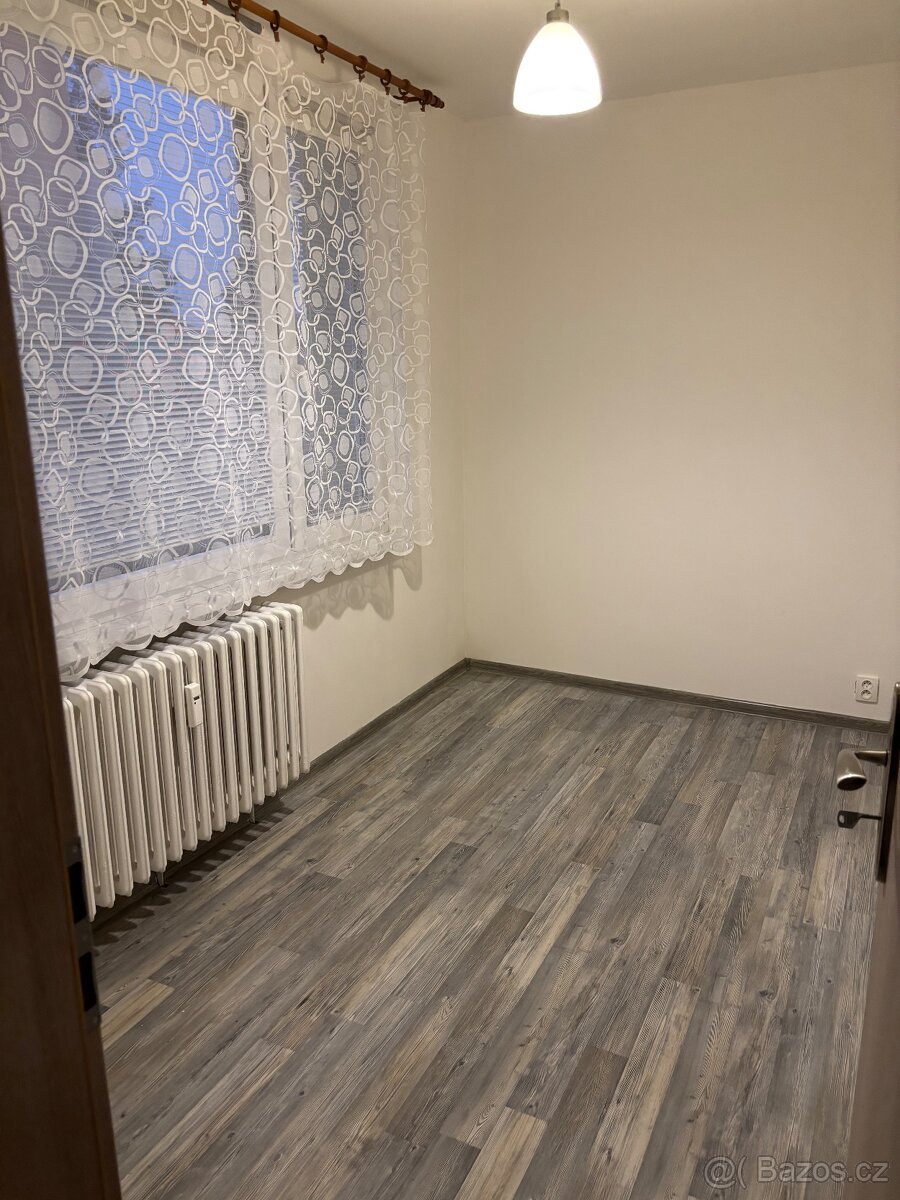 Pronájem bytu 3+1 - 3