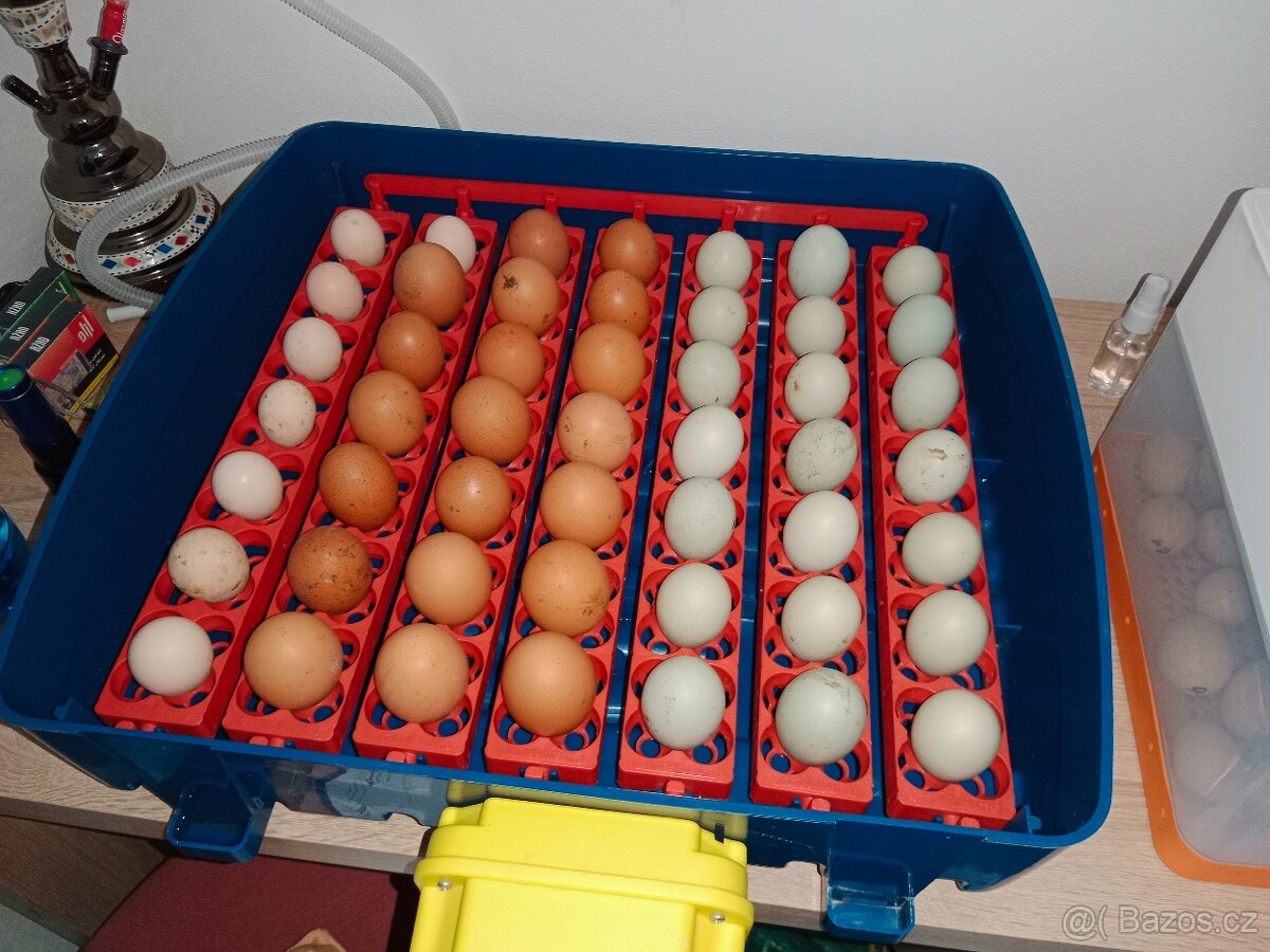 Nasadová vajíčka - 3