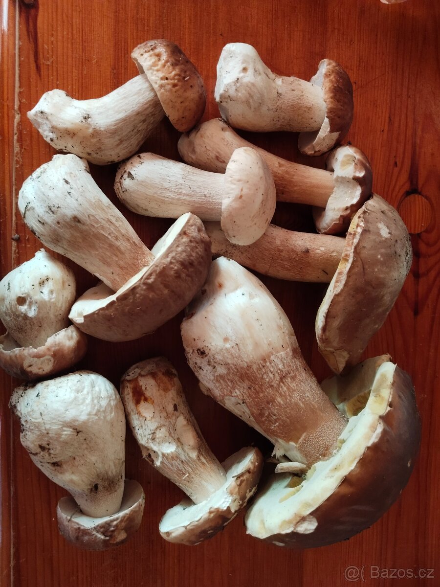 Sušené houby, hřiby, mix - 3