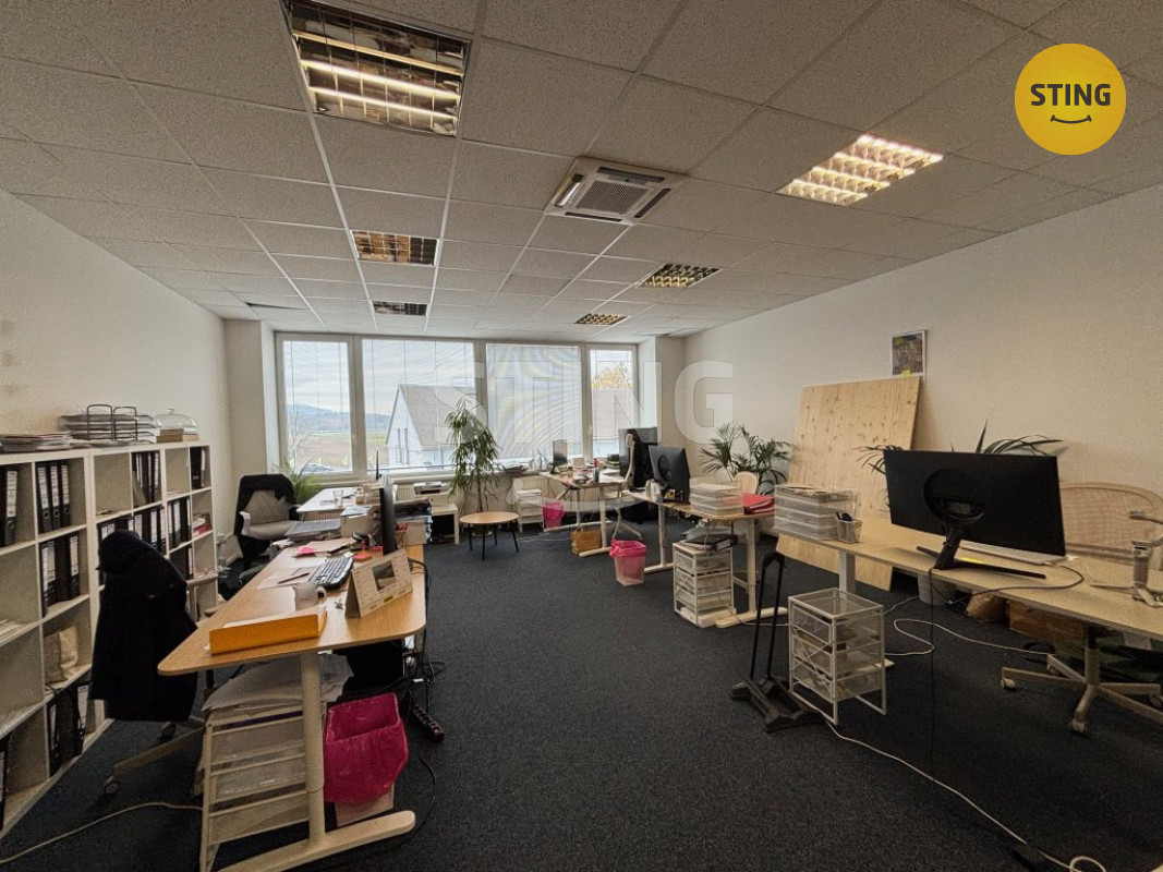 Pronájem komerčního prostoru 54m2 - Sviadnov, 133944 - 3