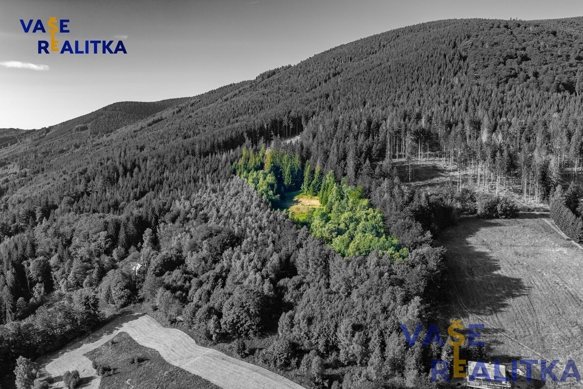 Prodej, pozemek pro výstavbu chalupy, Krásná pod Lysou Horou - 3