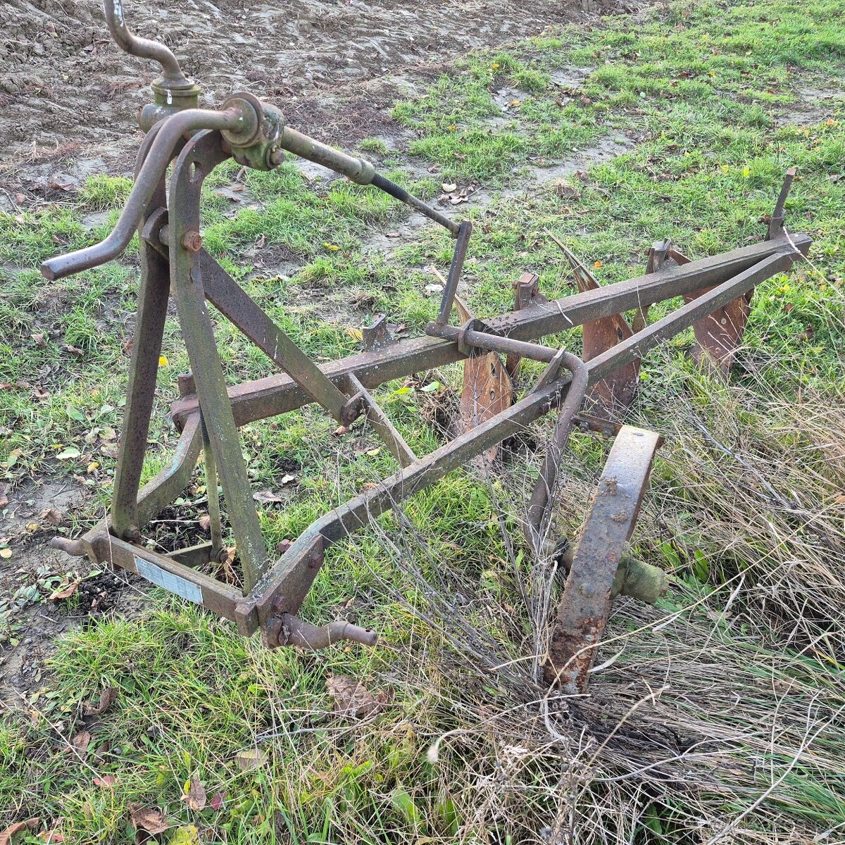 Pluh tříradličný - 3