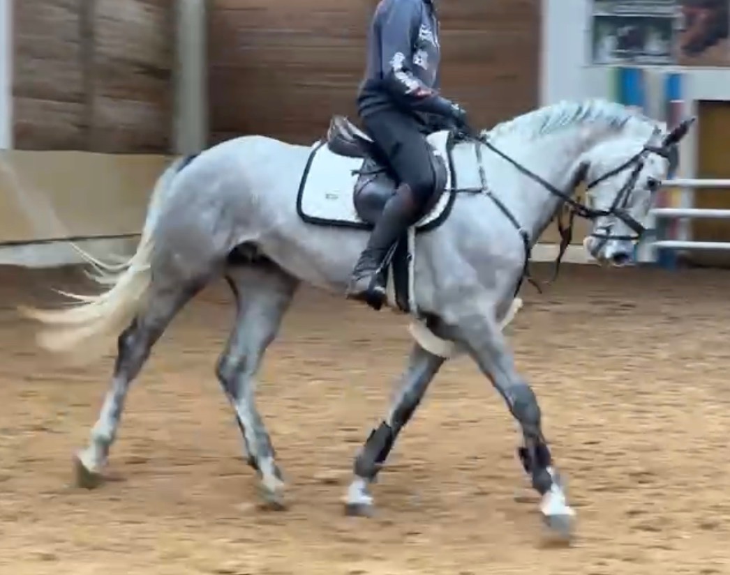 Prodej / výměna - 3