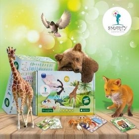 4D Smarty Interaktivní karty - 3