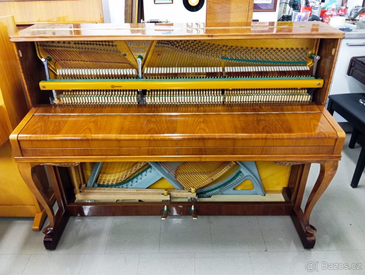 August Forster-Dovoz zdarma i na Štědrý 24.12. - 3