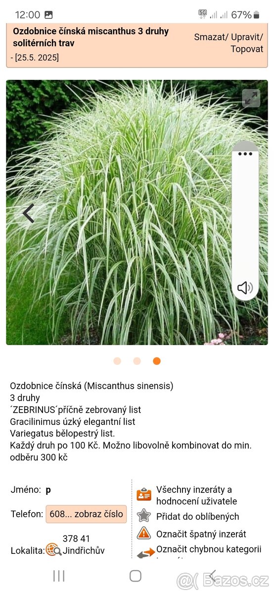 Miscantus 3 druhy - 3