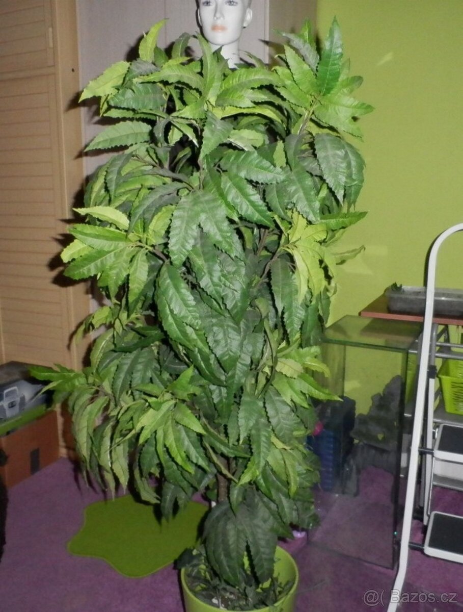 Umělý strom do bytu, hustý, velký-145 cm - 3