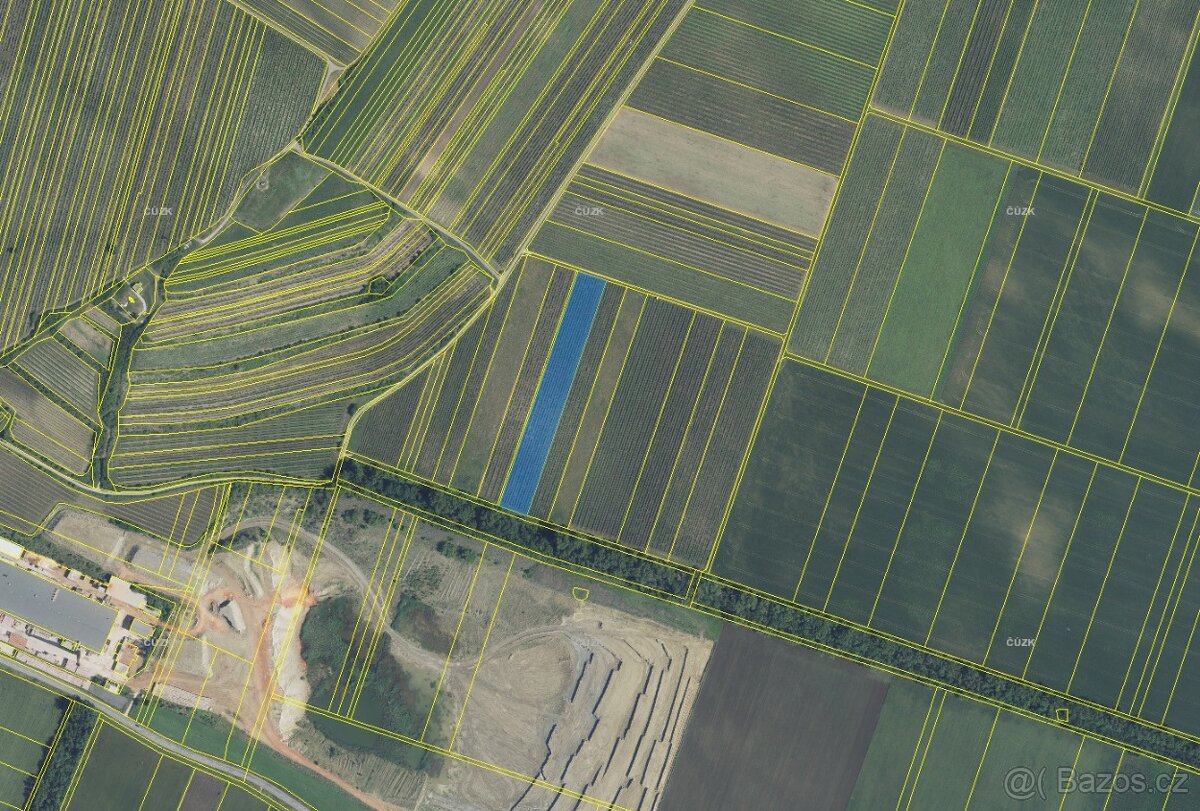 1ha vinice v atraktivní vinařské oblasti – Novosedly - 3