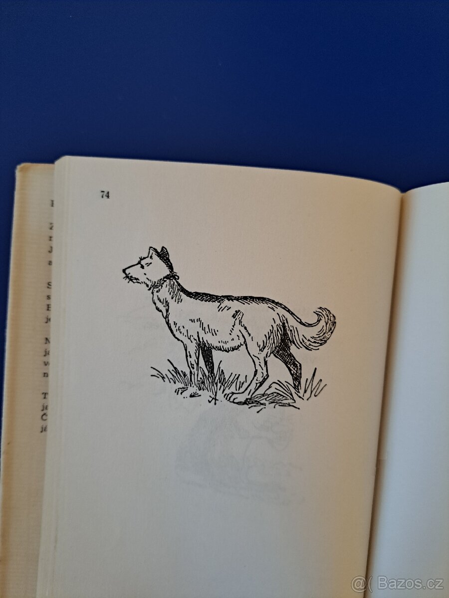 Kniha ŠEL MALÍŘ CHUDĚ DO SVĚTA - 3