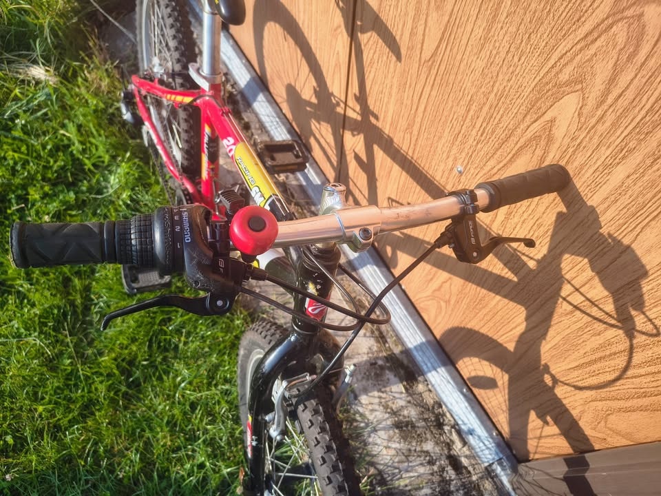 Dětské kolo Ravo Racing SM20 - 3