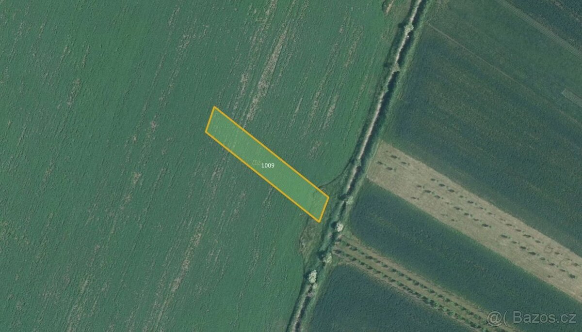 Zemědělská půda, prodej, Nesvačilka, Brno-venkov - 3