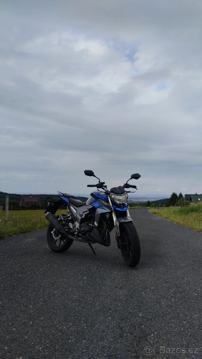 Senke leopard SK125 - 3