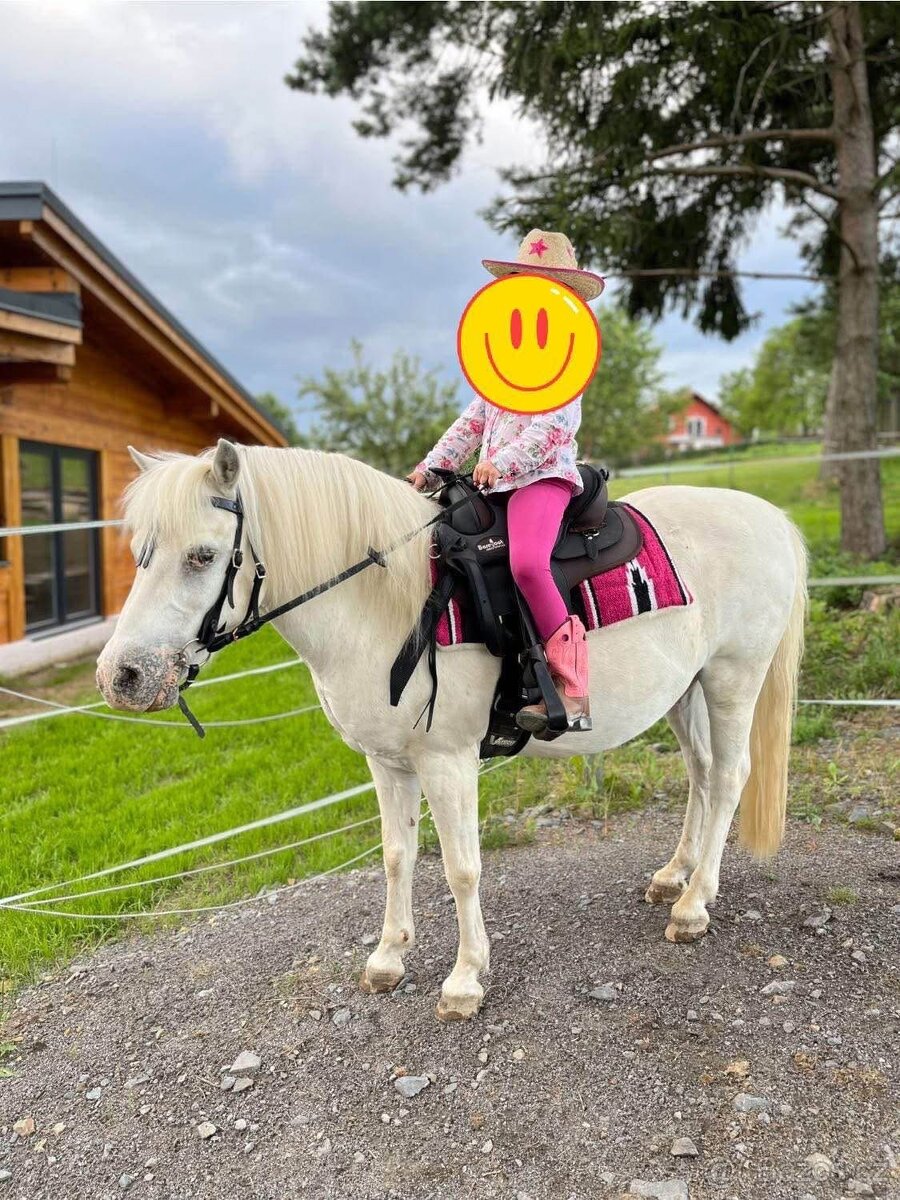 Barefoot Arizona Barry bezkostrové sedlo na pony - 3