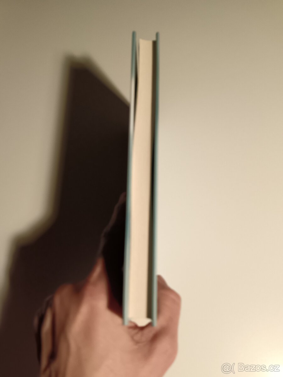 Motýl v pavučině - 3