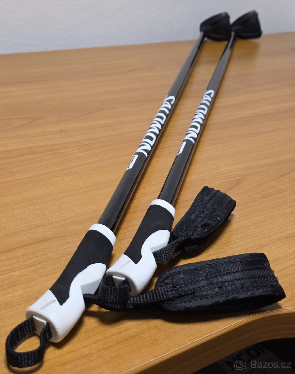 Salomon ESCAPE JUNIOR composite 110cm - 3