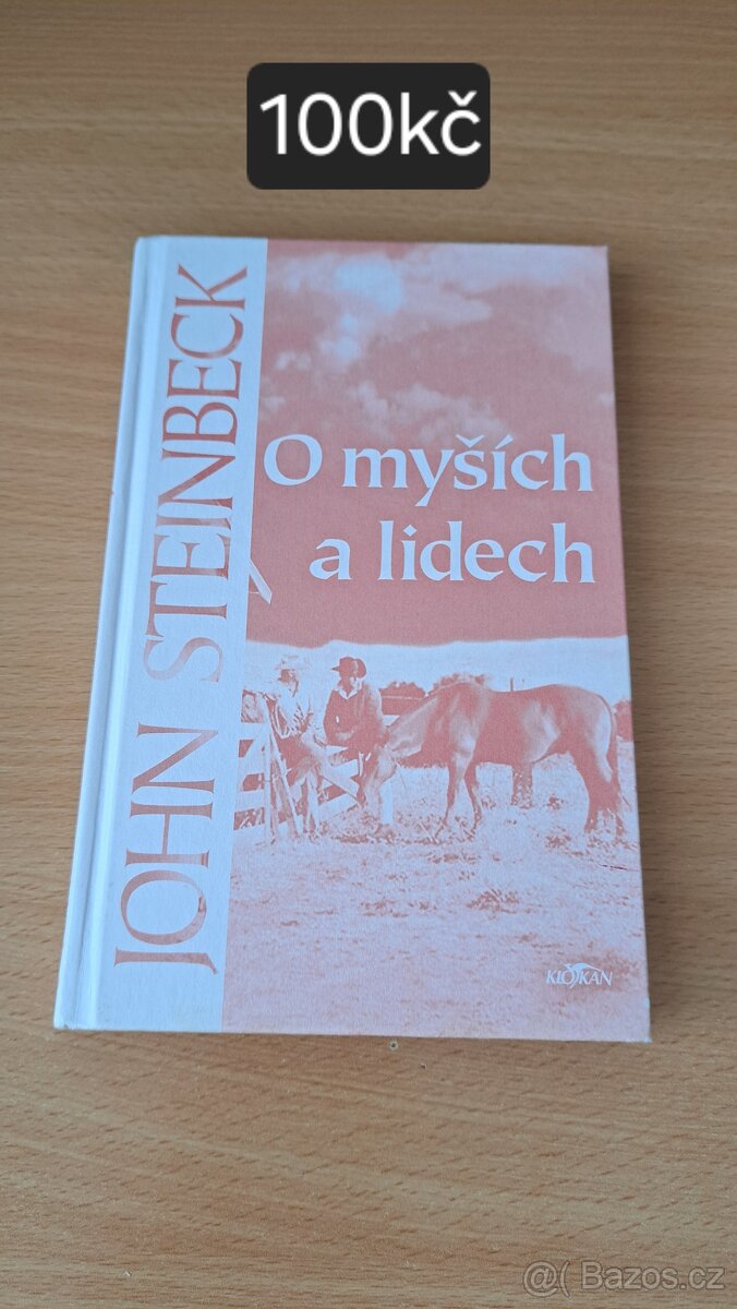 Literatura pro studenty SŠ - 3