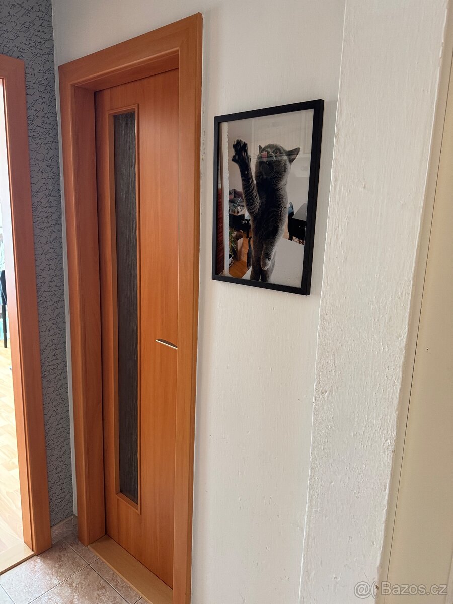 Interiérové dveře včetně zárubní - 3
