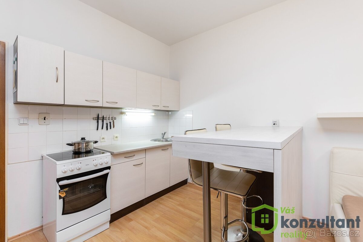 Pronájem bytu 1+kk 31 m², Brno - Žabovřesky, ev.č. 00949 - 3